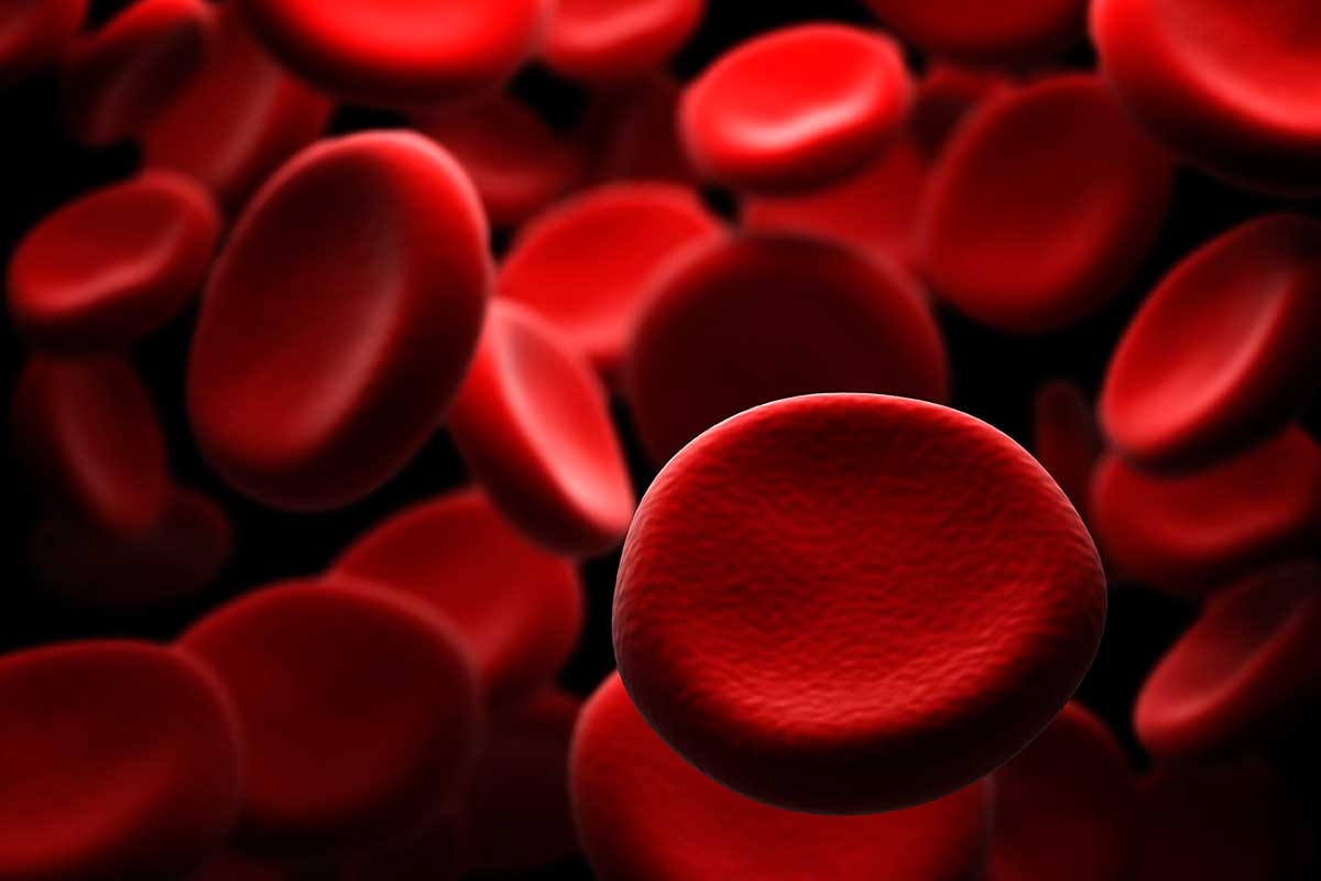 Эритроциты донора. Гемофилия эритроциты. Красные клетки крови. Молекула крови. Клетки крови эритроциты.