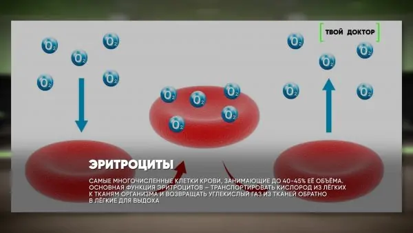 Железодефицитная анемия (Твой доктор, НТВ)